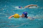 WWPolo vs CC  Wheaton College Women’s Water Polo compete in their sports inaugural match vs Connecticut College. - Photo By: KEITH NORDSTROM : Wheaton, water polo, inaugural